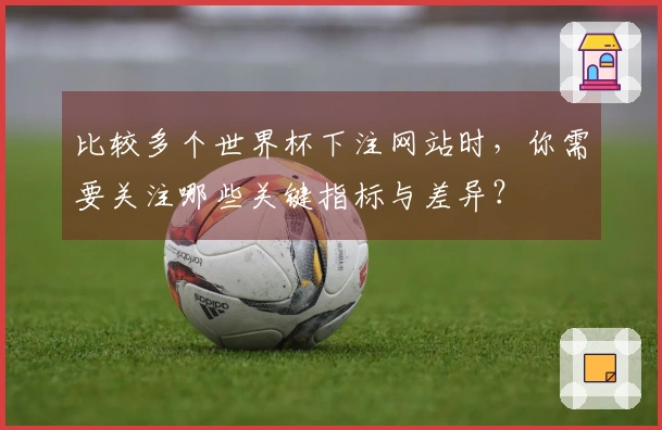 比较多个世界杯下注网站时，你需要关注哪些关键指标与差异？