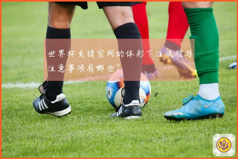 世界杯竞猜官网的体彩下注流程与注意事项有哪些？