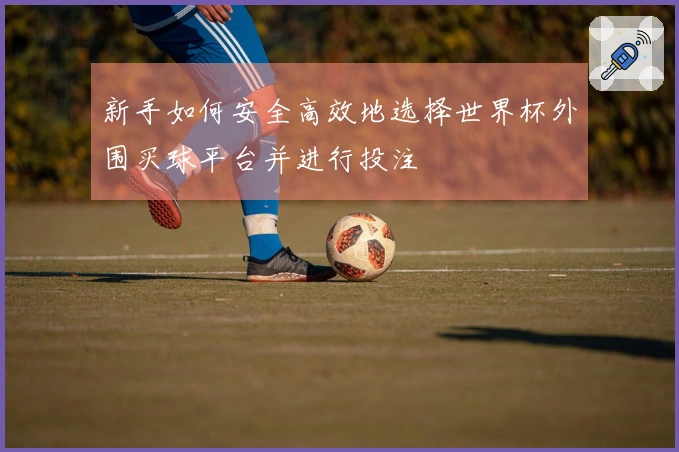 新手如何安全高效地选择世界杯外围买球平台并进行投注