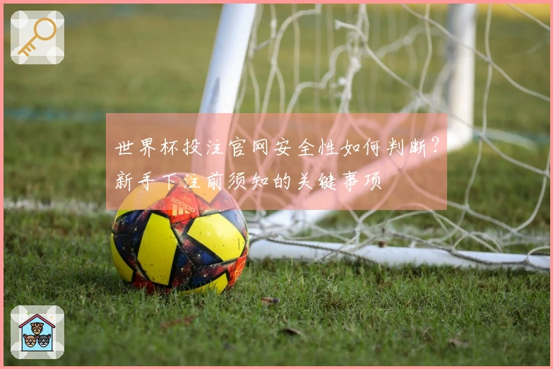 世界杯投注官网安全性如何判断？新手下注前须知的关键事项