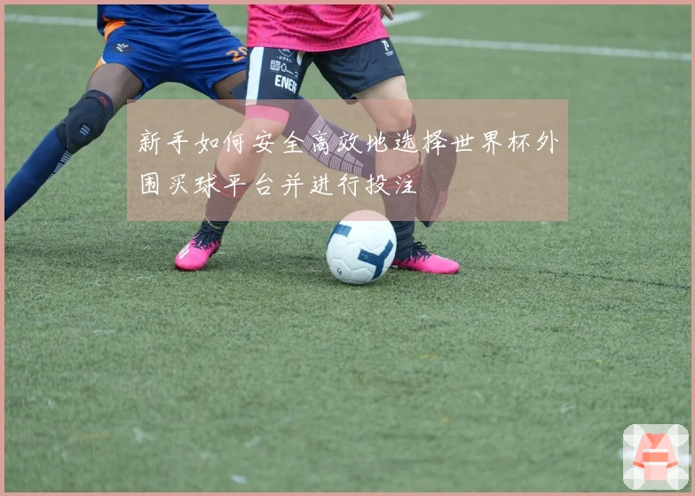 新手如何安全高效地选择世界杯外围买球平台并进行投注