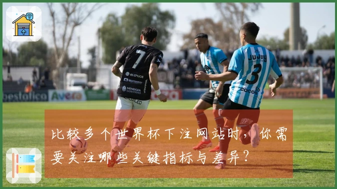 比较多个世界杯下注网站时，你需要关注哪些关键指标与差异？