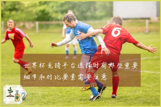 世界杯竞猜平台选择时有哪些重要细节和对比要素需要注意