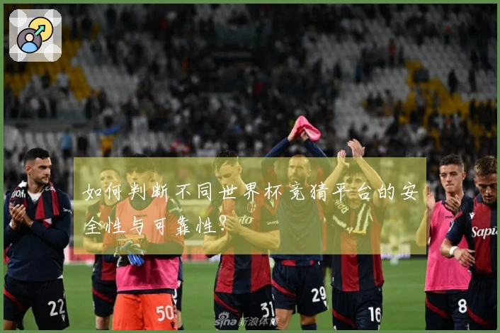 如何判断不同世界杯竞猜平台的安全性与可靠性？